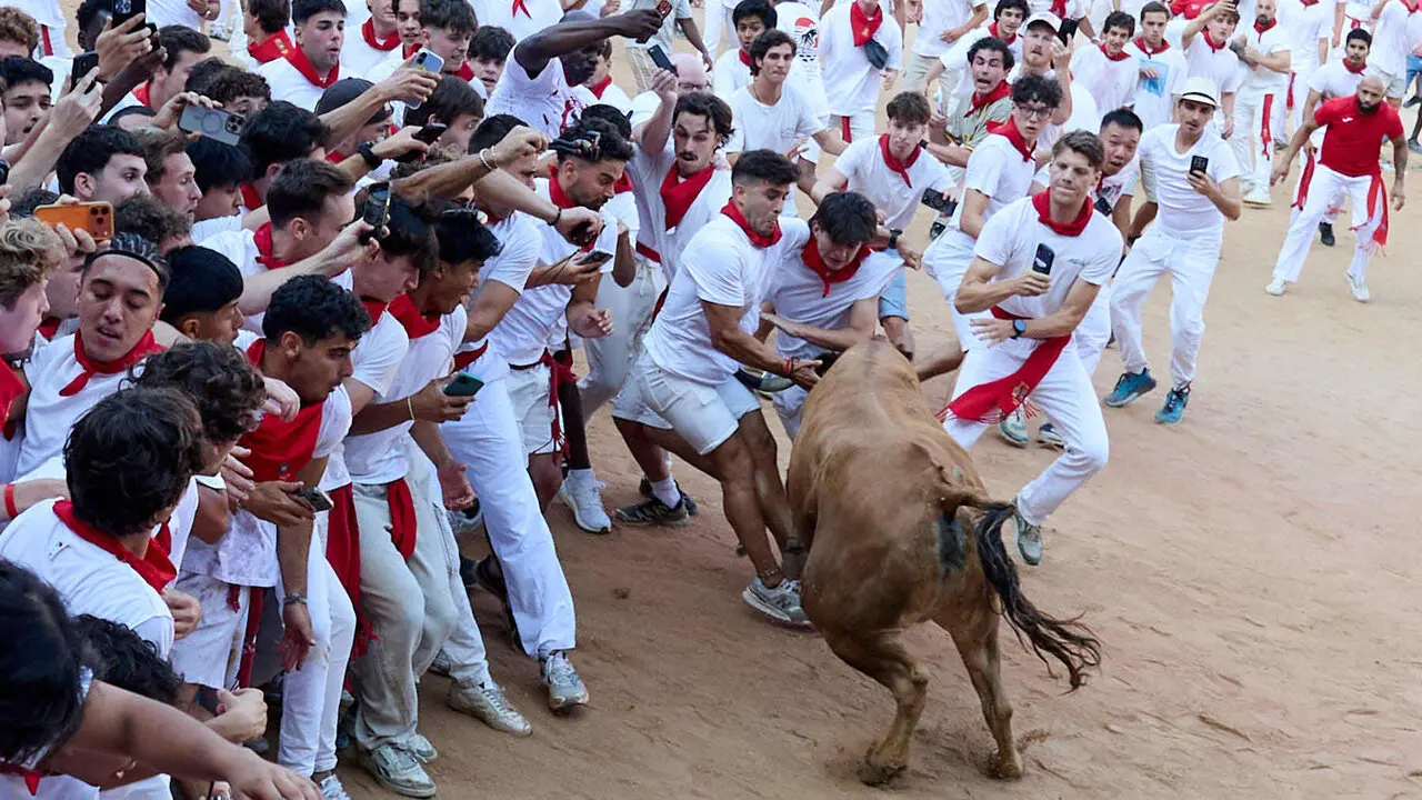 Suelta de vaquillas en la Plaza de Toros de Pamplona tras el quinto de San Ferm&iacute;n 2026. I&Ntilde;IGO ALZUGARAY