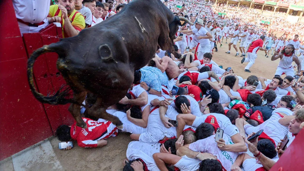 Suelta de vaquillas en la Plaza de Toros de Pamplona tras el quinto de San Ferm&iacute;n 2026. I&Ntilde;IGO ALZUGARAY