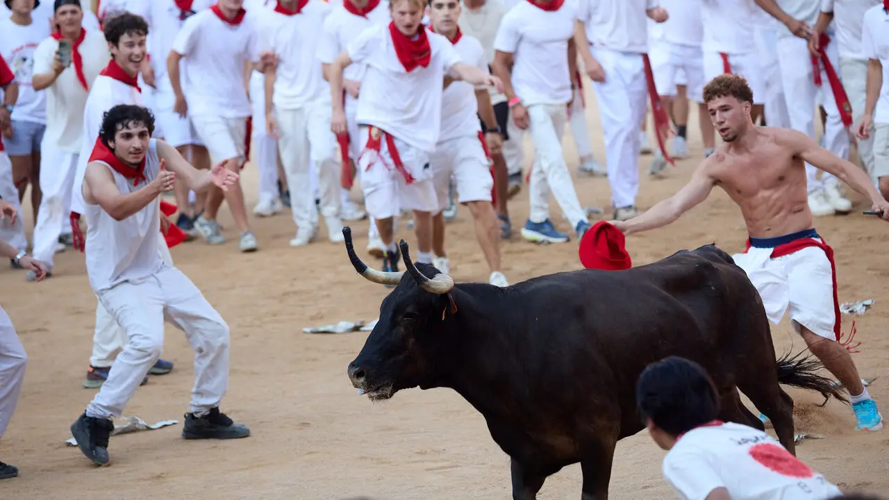 Suelta de vaquillas en la Plaza de Toros de Pamplona tras el quinto de San Ferm&iacute;n 2026. I&Ntilde;IGO ALZUGARAY