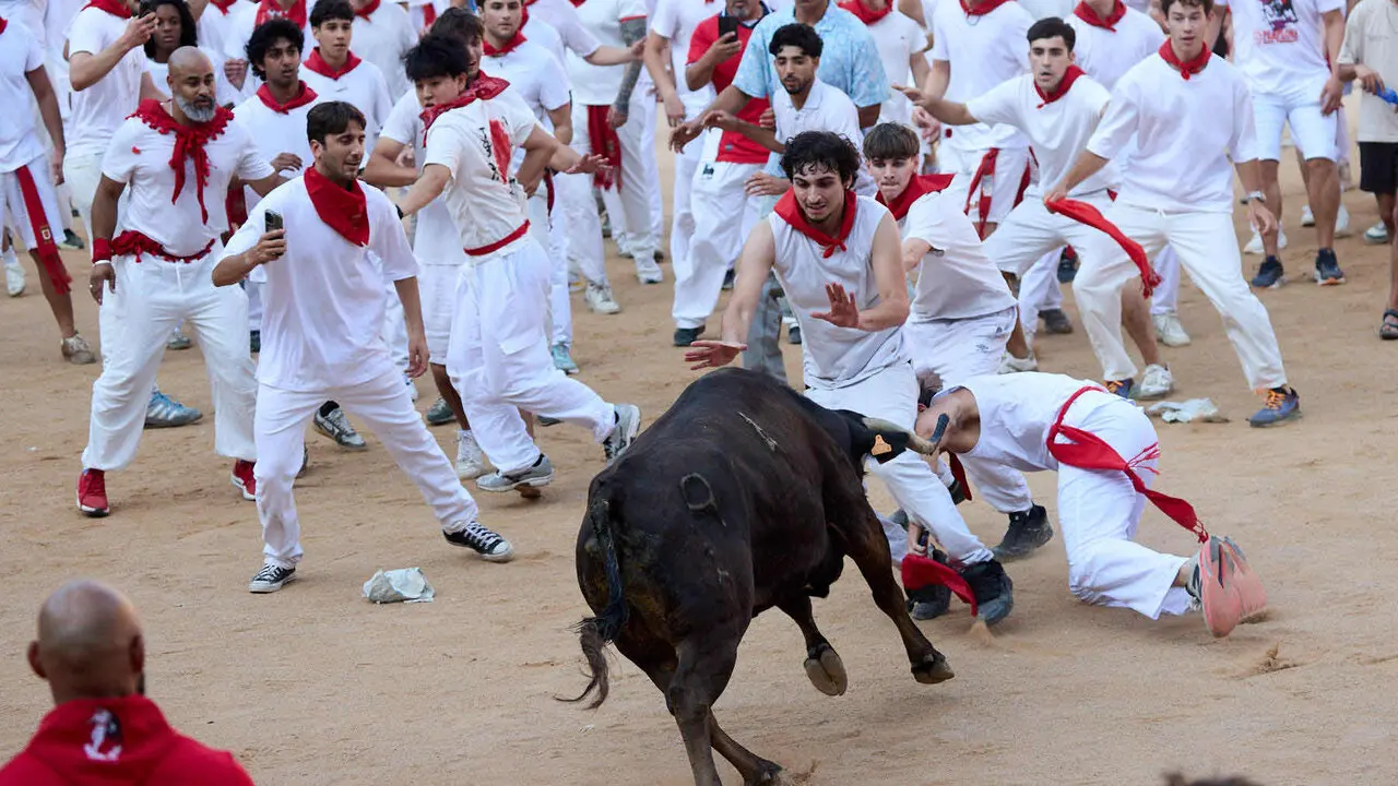 Suelta de vaquillas en la Plaza de Toros de Pamplona tras el quinto de San Ferm&iacute;n 2026. I&Ntilde;IGO ALZUGARAY