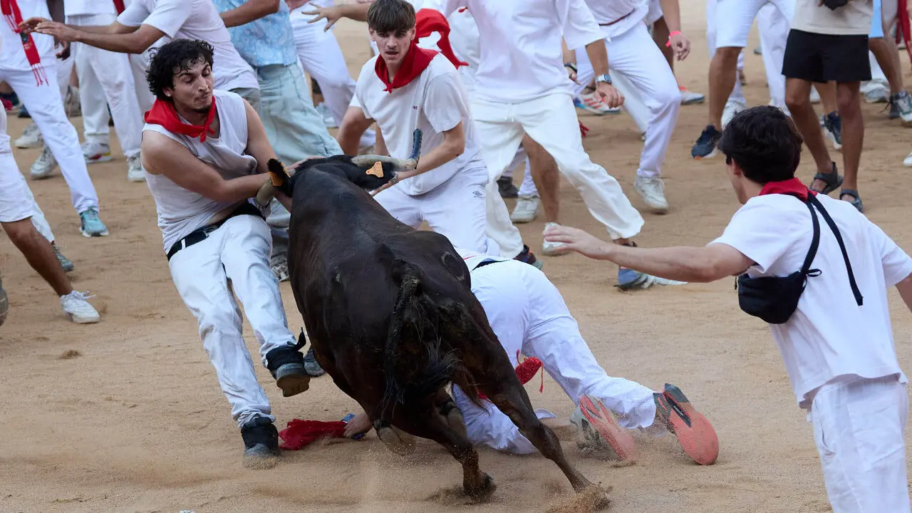 Suelta de vaquillas en la Plaza de Toros de Pamplona tras el quinto de San Ferm&iacute;n 2026. I&Ntilde;IGO ALZUGARAY