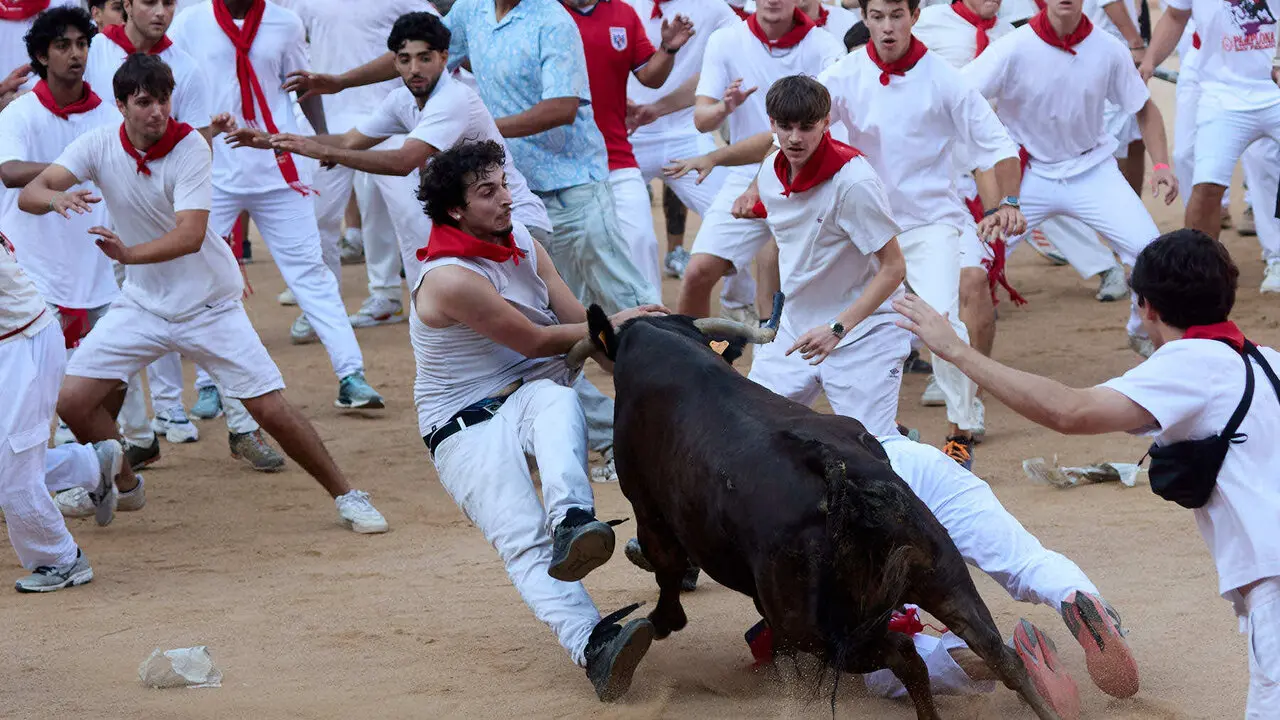 Suelta de vaquillas en la Plaza de Toros de Pamplona tras el quinto de San Ferm&iacute;n 2026. I&Ntilde;IGO ALZUGARAY