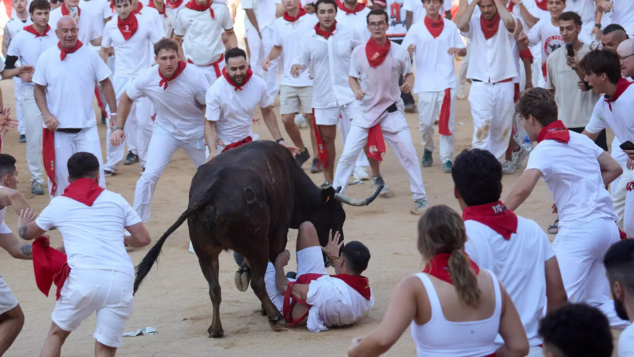 Suelta de vaquillas en la Plaza de Toros de Pamplona tras el quinto de San Ferm&iacute;n 2026. I&Ntilde;IGO ALZUGARAY