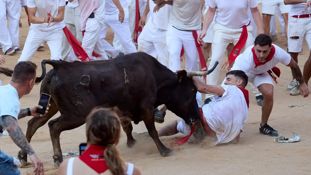 Suelta de vaquillas en la Plaza de Toros de Pamplona tras el quinto de San Ferm&iacute;n 2026. I&Ntilde;IGO ALZUGARAY