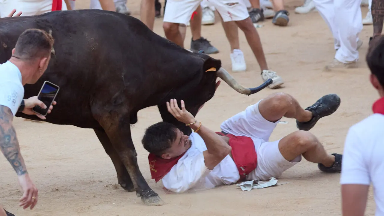 Suelta de vaquillas en la Plaza de Toros de Pamplona tras el quinto de San Ferm&iacute;n 2026. I&Ntilde;IGO ALZUGARAY