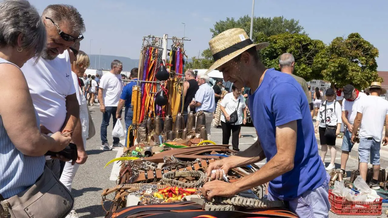 Feria del ganado equino de San Ferm&iacute;n. AYUNTAMIENTO DE PAMPLONA