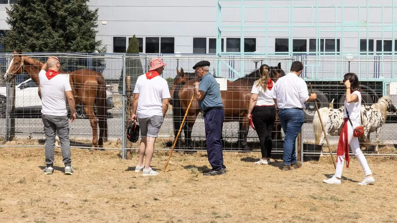 Feria del ganado equino de San Ferm&iacute;n. AYUNTAMIENTO DE PAMPLONA