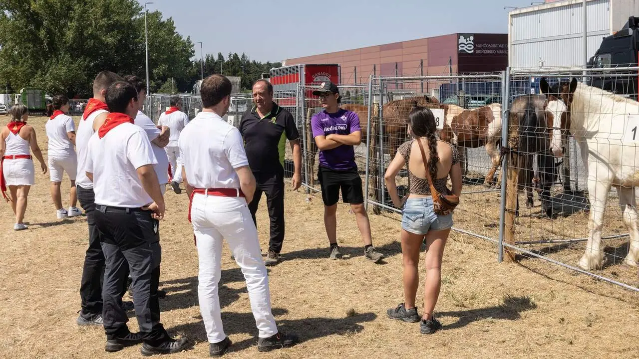 Feria del ganado equino de San Ferm&iacute;n. AYUNTAMIENTO DE PAMPLONA