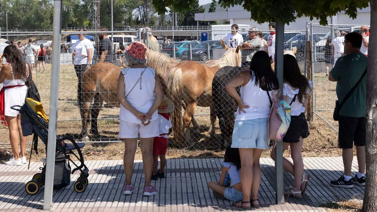 Feria del ganado equino de San Ferm&iacute;n. AYUNTAMIENTO DE PAMPLONA