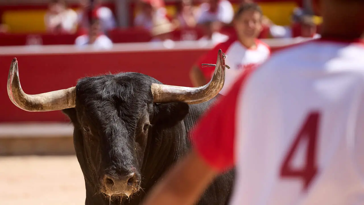 Concurso Nacional de Recortadores en la Plaza de Toros de Pamplona durante las fiestas de San Ferm&iacute;n 2026. I&Ntilde;IGO ALZUGARAY