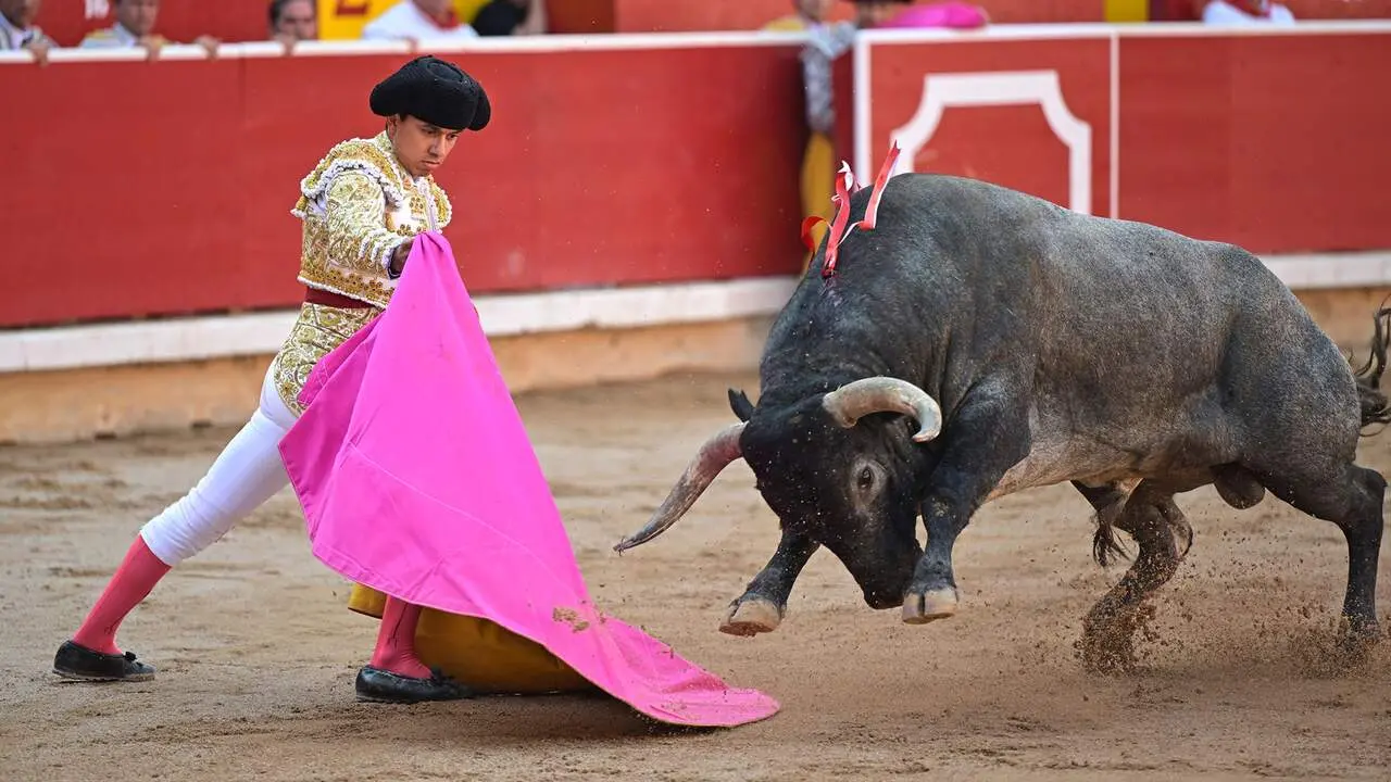 El torero Juan de Castilla recibe con el capote a su primer toro de la tarde en la s&eacute;ptima de abono de la Feria del Toro de los Sanfermines 2026 con toros de la ganader&iacute;a abulense de Jos&eacute; Escolar y en la que comparte cartel con los diestros Antonio Ferrera e Isaac Fonseca. EFE/ Daniel Fern&aacute;ndez
