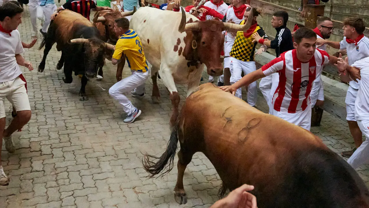 Sexto encierro de San Ferm&iacute;n con toros de La Palmosilla en la bajada al callej&oacute;n. IRANZU LARRASOA&Ntilde;A