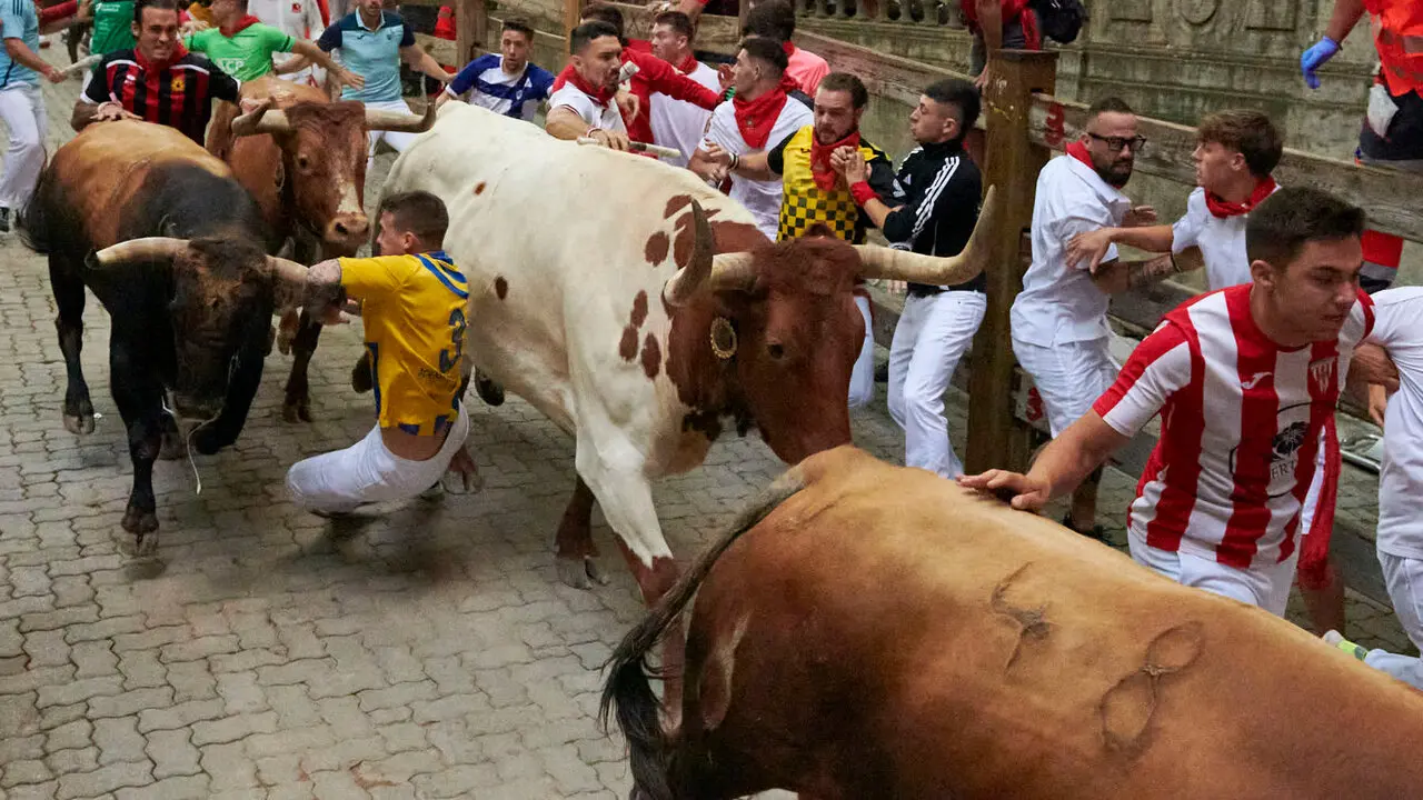 Sexto encierro de San Ferm&iacute;n con toros de La Palmosilla en la bajada al callej&oacute;n. IRANZU LARRASOA&Ntilde;A