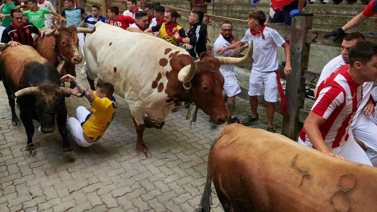 Sexto encierro de San Ferm&iacute;n con toros de La Palmosilla en la bajada al callej&oacute;n. IRANZU LARRASOA&Ntilde;A