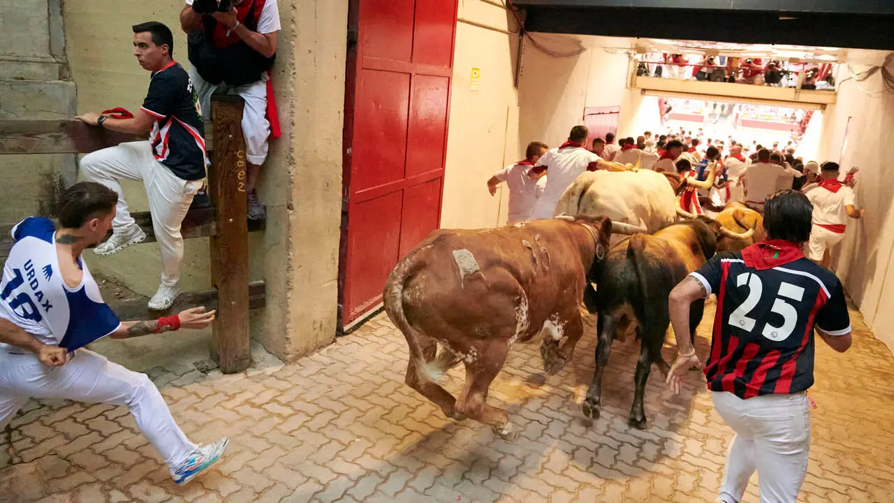 Sexto encierro de San Ferm&iacute;n con toros de La Palmosilla en la bajada al callej&oacute;n. IRANZU LARRASOA&Ntilde;A