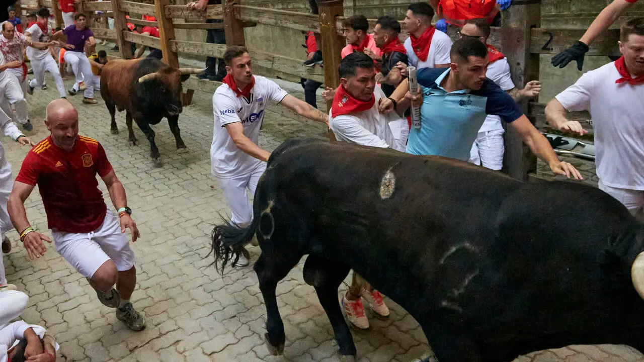 Sexto encierro de San Ferm&iacute;n con toros de La Palmosilla en la bajada al callej&oacute;n. IRANZU LARRASOA&Ntilde;A