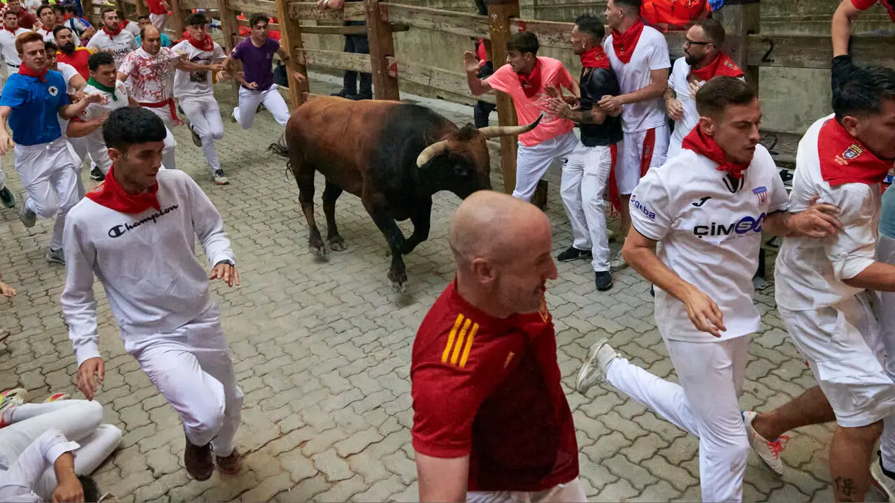 Sexto encierro de San Ferm&iacute;n con toros de La Palmosilla en la bajada al callej&oacute;n. IRANZU LARRASOA&Ntilde;A