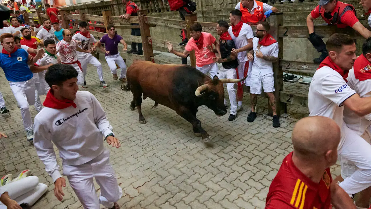 Sexto encierro de San Ferm&iacute;n con toros de La Palmosilla en la bajada al callej&oacute;n. IRANZU LARRASOA&Ntilde;A