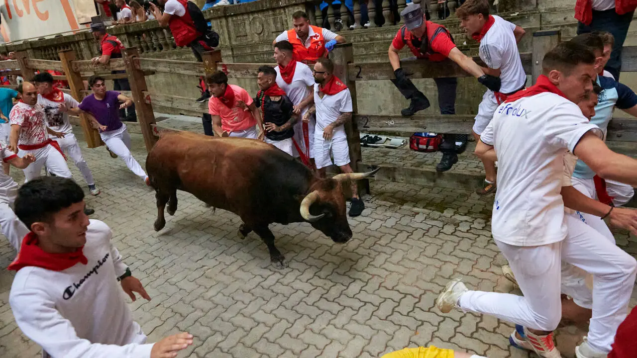 Sexto encierro de San Ferm&iacute;n con toros de La Palmosilla en la bajada al callej&oacute;n. IRANZU LARRASOA&Ntilde;A