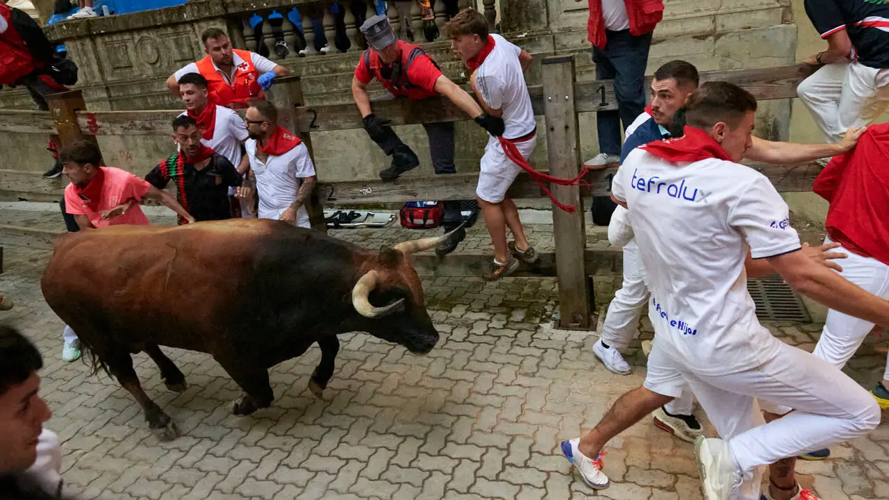 Sexto encierro de San Ferm&iacute;n con toros de La Palmosilla en la bajada al callej&oacute;n. IRANZU LARRASOA&Ntilde;A
