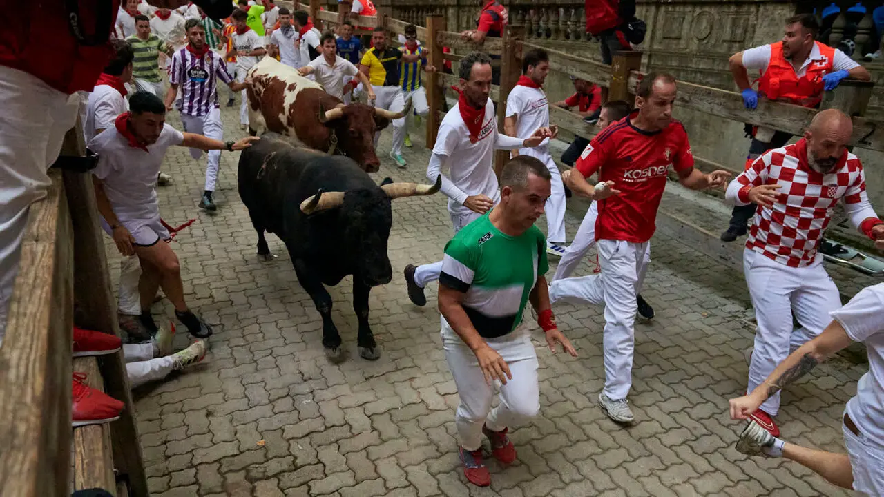 Sexto encierro de San Ferm&iacute;n con toros de La Palmosilla en la bajada al callej&oacute;n. IRANZU LARRASOA&Ntilde;A