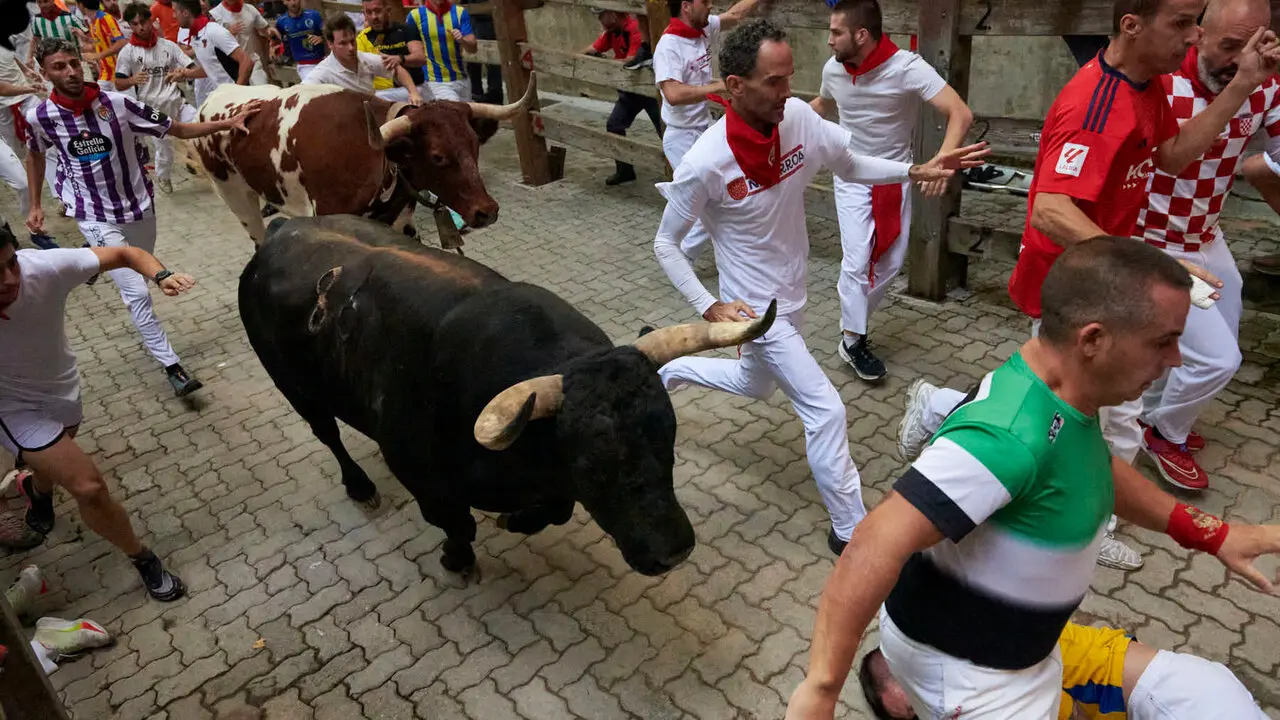 Sexto encierro de San Ferm&iacute;n con toros de La Palmosilla en la bajada al callej&oacute;n. IRANZU LARRASOA&Ntilde;A