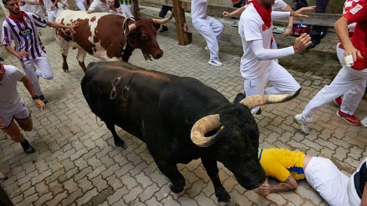 Sexto encierro de San Ferm&iacute;n con toros de La Palmosilla en la bajada al callej&oacute;n. IRANZU LARRASOA&Ntilde;A