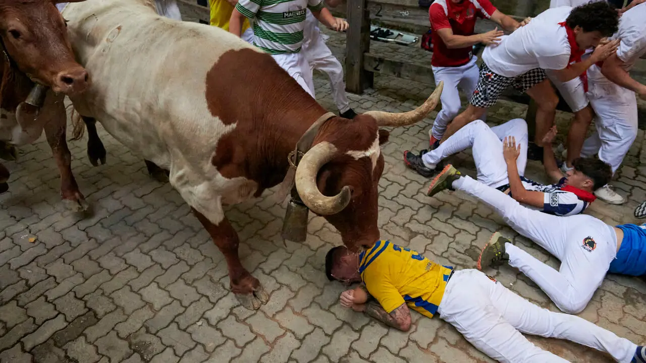 Sexto encierro de San Ferm&iacute;n con toros de La Palmosilla en la bajada al callej&oacute;n. IRANZU LARRASOA&Ntilde;A