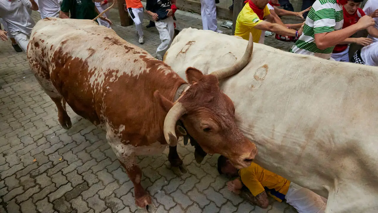 Sexto encierro de San Ferm&iacute;n con toros de La Palmosilla en la bajada al callej&oacute;n. IRANZU LARRASOA&Ntilde;A