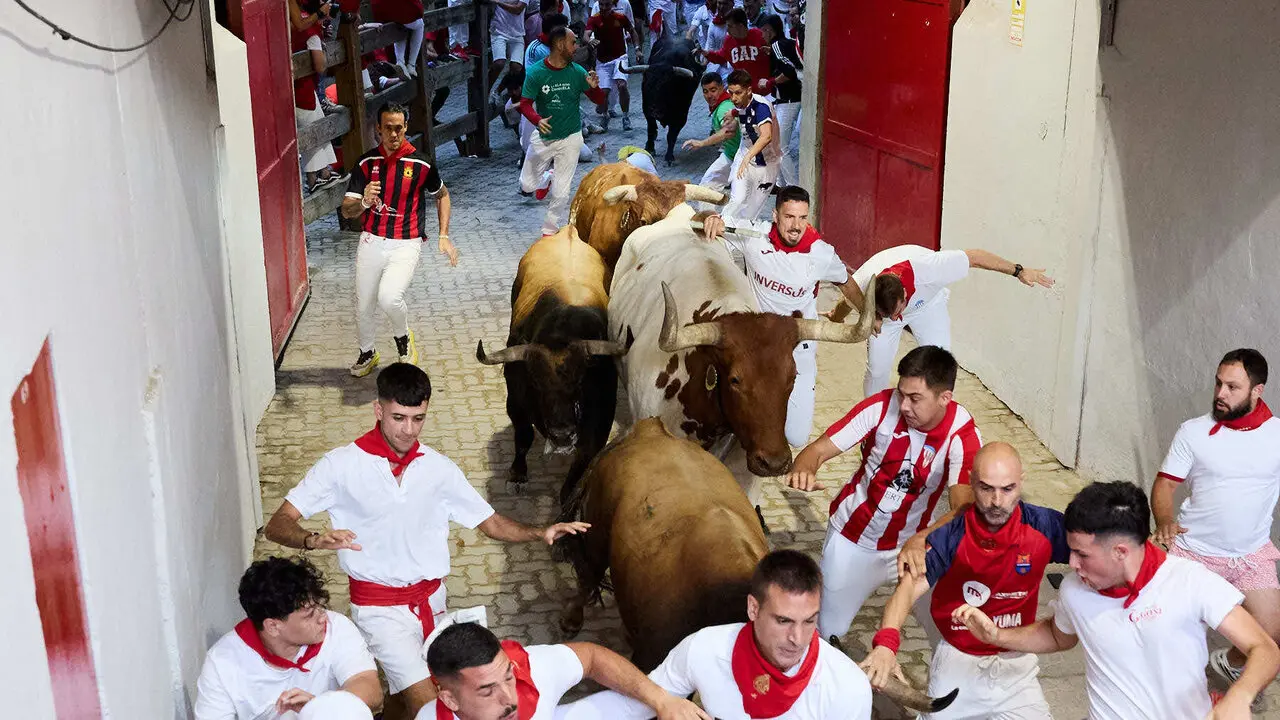 Sexto encierro de San Ferm&iacute;n 2026 con toros de la ganader&iacute;a de La Palmosilla en el tramo del callej&oacute;n y entrada a la plaza. I&Ntilde;IGO ALZUGARAY