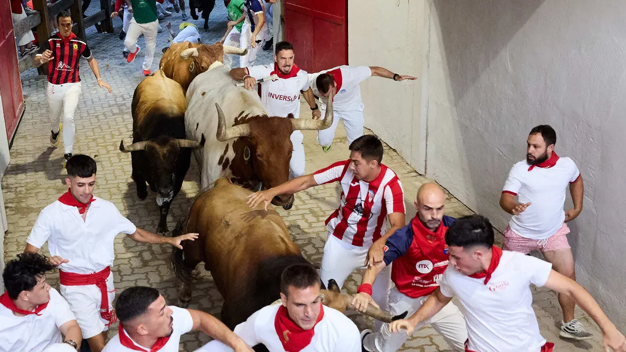 Sexto encierro de San Ferm&iacute;n 2026 con toros de la ganader&iacute;a de La Palmosilla en el tramo del callej&oacute;n y entrada a la plaza. I&Ntilde;IGO ALZUGARAY