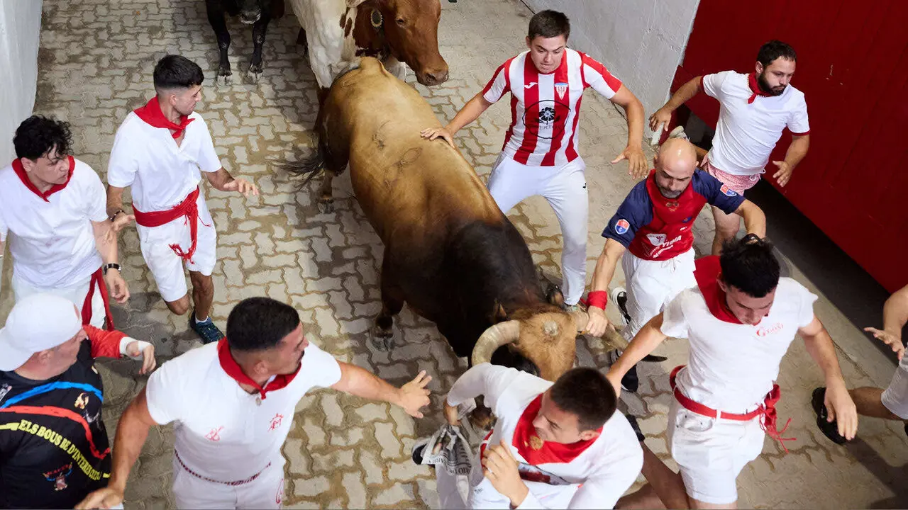 Sexto encierro de San Ferm&iacute;n 2026 con toros de la ganader&iacute;a de La Palmosilla en el tramo del callej&oacute;n y entrada a la plaza. I&Ntilde;IGO ALZUGARAY