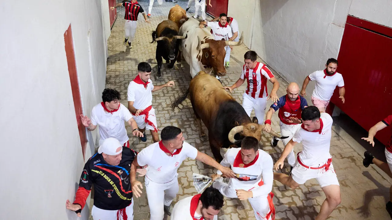 Sexto encierro de San Ferm&iacute;n 2026 con toros de la ganader&iacute;a de La Palmosilla en el tramo del callej&oacute;n y entrada a la plaza. I&Ntilde;IGO ALZUGARAY