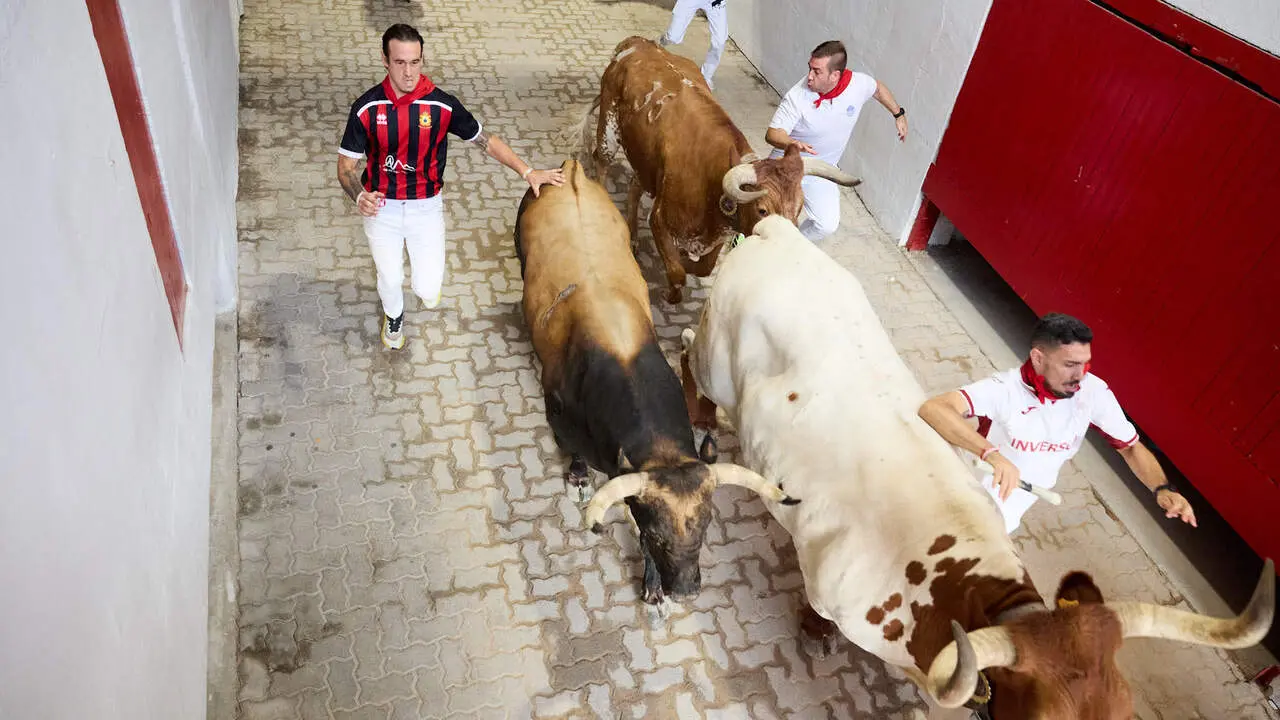 Sexto encierro de San Ferm&iacute;n 2026 con toros de la ganader&iacute;a de La Palmosilla en el tramo del callej&oacute;n y entrada a la plaza. I&Ntilde;IGO ALZUGARAY