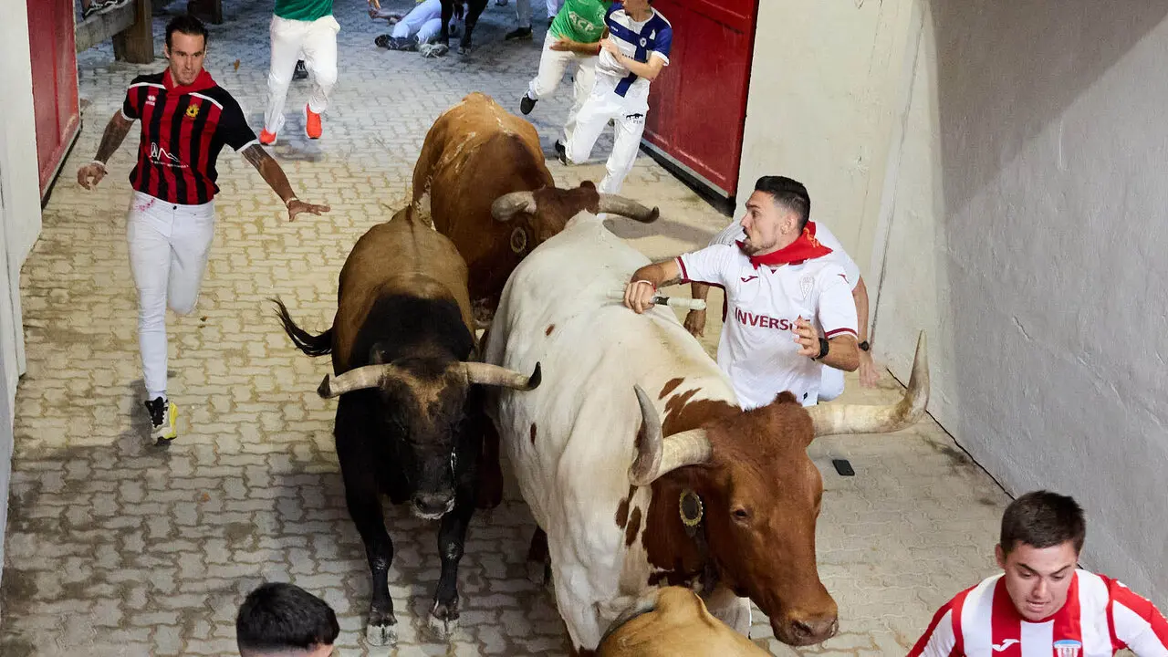 Sexto encierro de San Ferm&iacute;n 2026 con toros de la ganader&iacute;a de La Palmosilla en el tramo del callej&oacute;n y entrada a la plaza. I&Ntilde;IGO ALZUGARAY