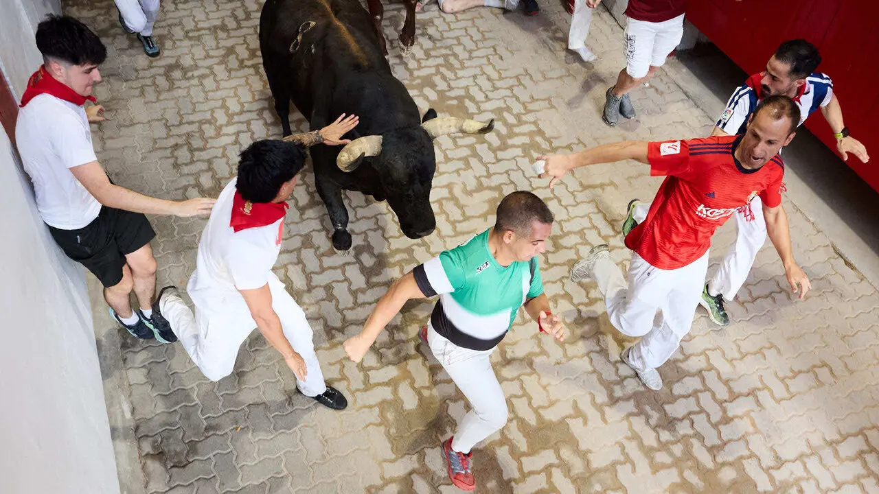 Sexto encierro de San Ferm&iacute;n 2026 con toros de la ganader&iacute;a de La Palmosilla en el tramo del callej&oacute;n y entrada a la plaza. I&Ntilde;IGO ALZUGARAY