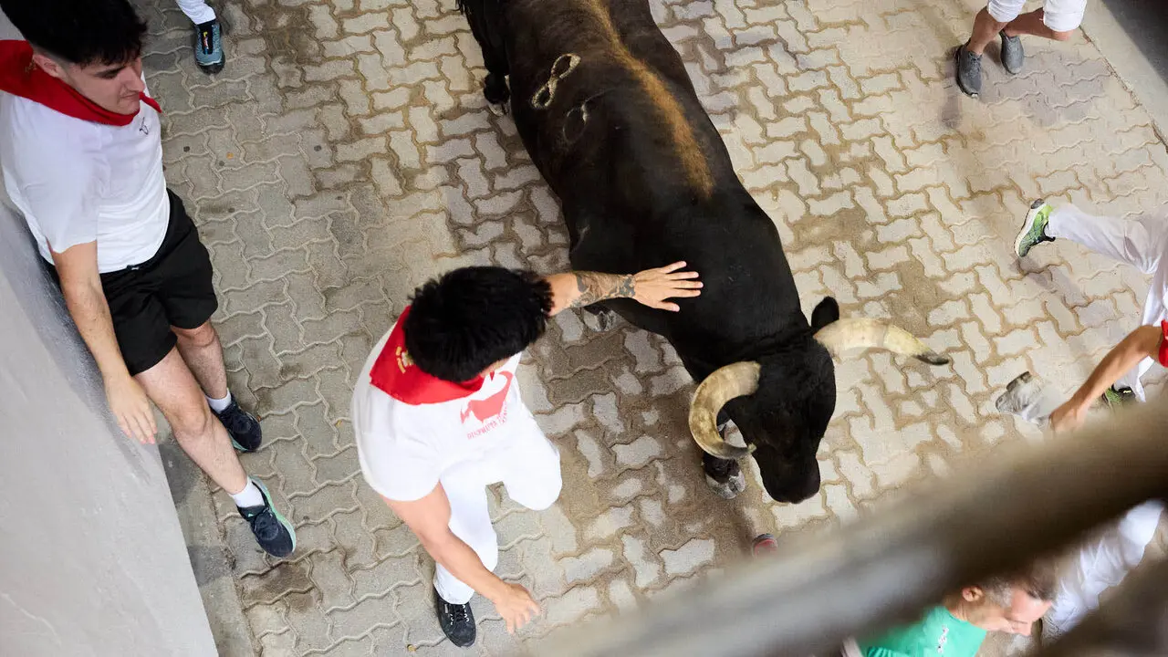 Sexto encierro de San Ferm&iacute;n 2026 con toros de la ganader&iacute;a de La Palmosilla en el tramo del callej&oacute;n y entrada a la plaza. I&Ntilde;IGO ALZUGARAY