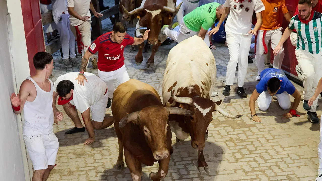Sexto encierro de San Ferm&iacute;n 2026 con toros de la ganader&iacute;a de La Palmosilla en el tramo del callej&oacute;n y entrada a la plaza. I&Ntilde;IGO ALZUGARAY