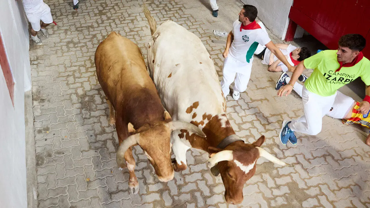 Sexto encierro de San Ferm&iacute;n 2026 con toros de la ganader&iacute;a de La Palmosilla en el tramo del callej&oacute;n y entrada a la plaza. I&Ntilde;IGO ALZUGARAY