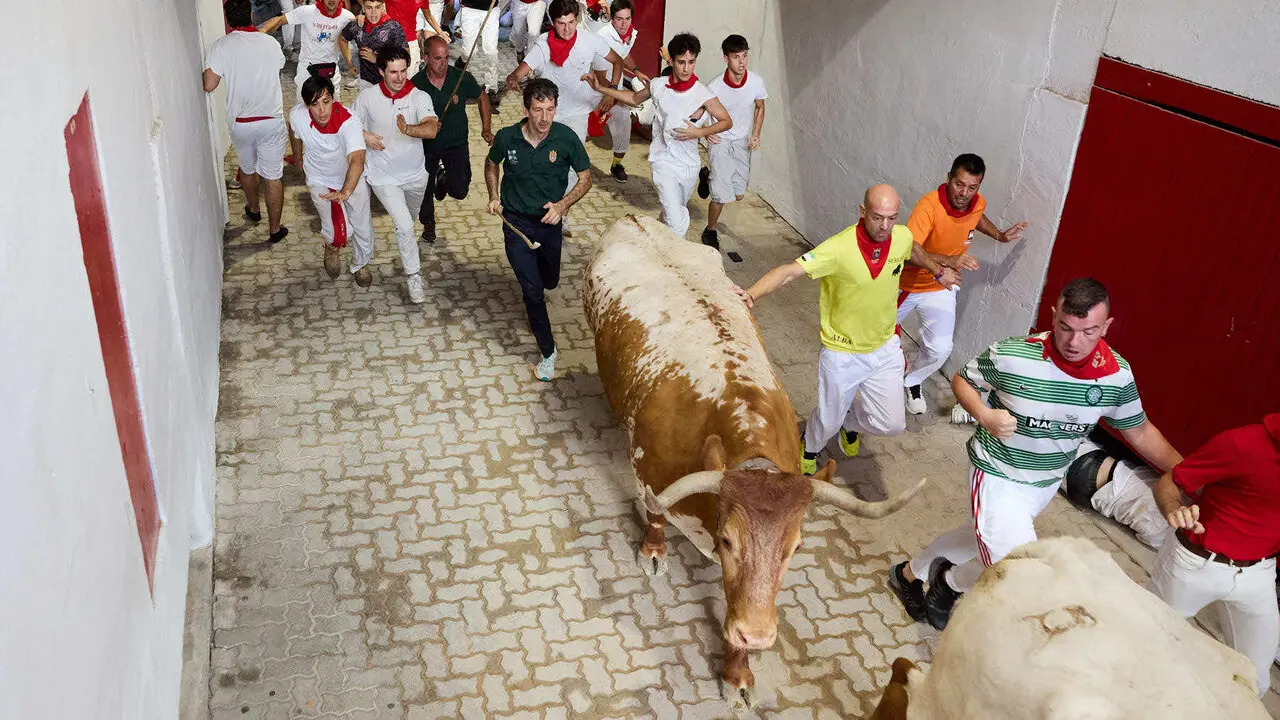 Sexto encierro de San Ferm&iacute;n 2026 con toros de la ganader&iacute;a de La Palmosilla en el tramo del callej&oacute;n y entrada a la plaza. I&Ntilde;IGO ALZUGARAY