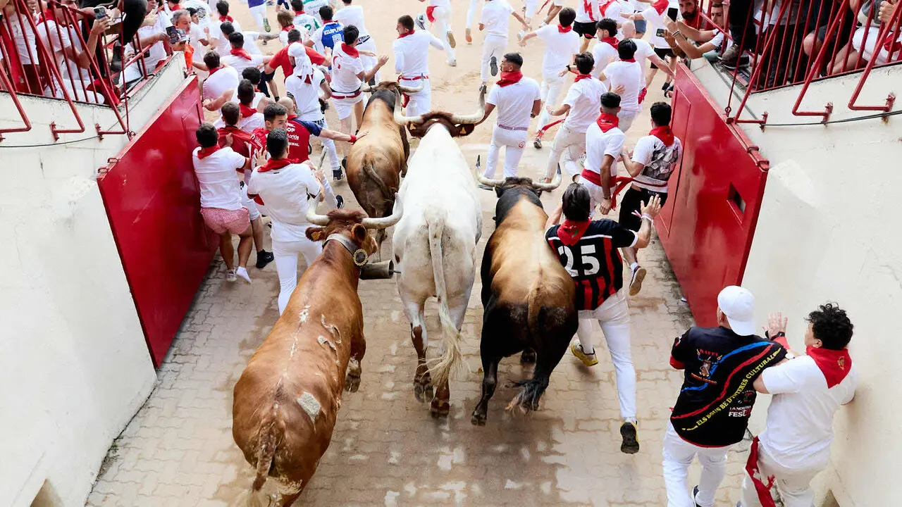 Sexto encierro de San Ferm&iacute;n 2026 con toros de la ganader&iacute;a de La Palmosilla en el tramo del callej&oacute;n y entrada a la plaza. I&Ntilde;IGO ALZUGARAY