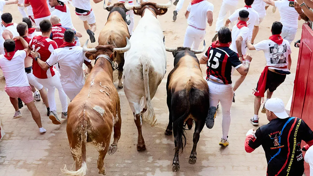 Sexto encierro de San Ferm&iacute;n 2026 con toros de la ganader&iacute;a de La Palmosilla en el tramo del callej&oacute;n y entrada a la plaza. I&Ntilde;IGO ALZUGARAY