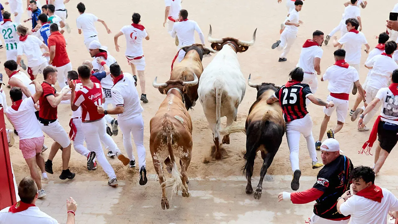Sexto encierro de San Ferm&iacute;n 2026 con toros de la ganader&iacute;a de La Palmosilla en el tramo del callej&oacute;n y entrada a la plaza. I&Ntilde;IGO ALZUGARAY