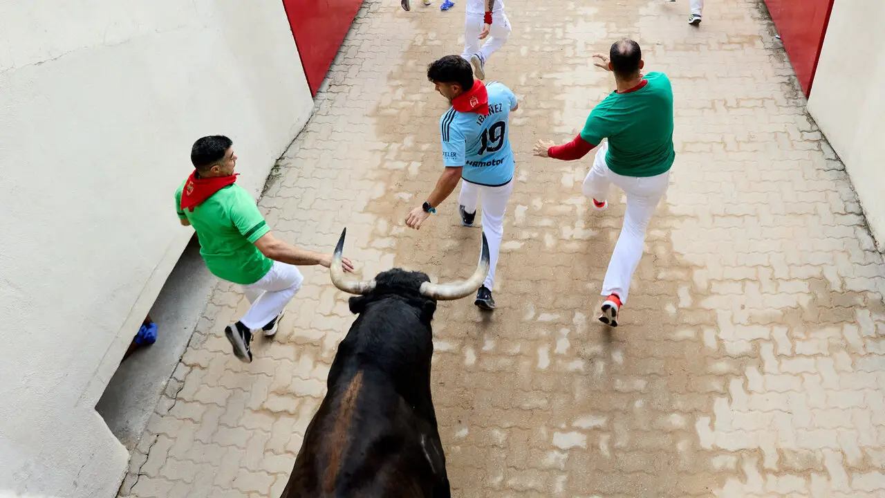 Sexto encierro de San Ferm&iacute;n 2026 con toros de la ganader&iacute;a de La Palmosilla en el tramo del callej&oacute;n y entrada a la plaza. I&Ntilde;IGO ALZUGARAY