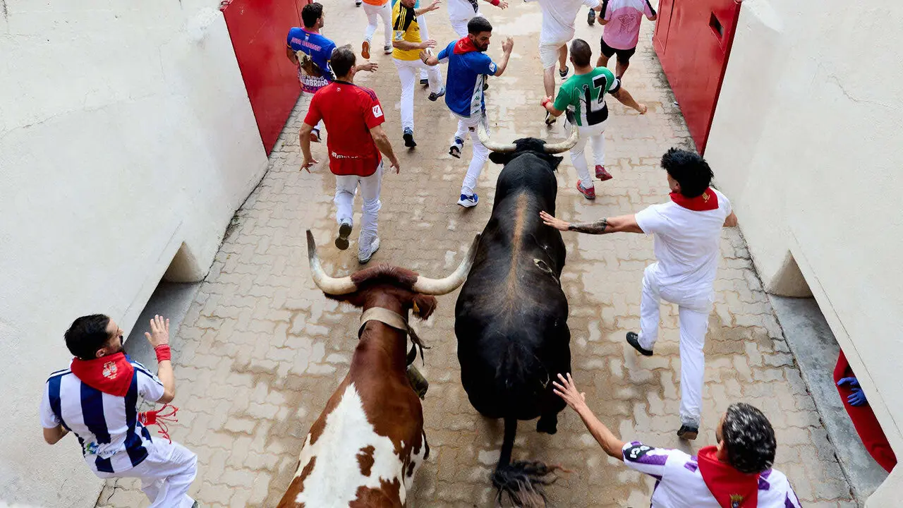 Sexto encierro de San Ferm&iacute;n 2026 con toros de la ganader&iacute;a de La Palmosilla en el tramo del callej&oacute;n y entrada a la plaza. I&Ntilde;IGO ALZUGARAY
