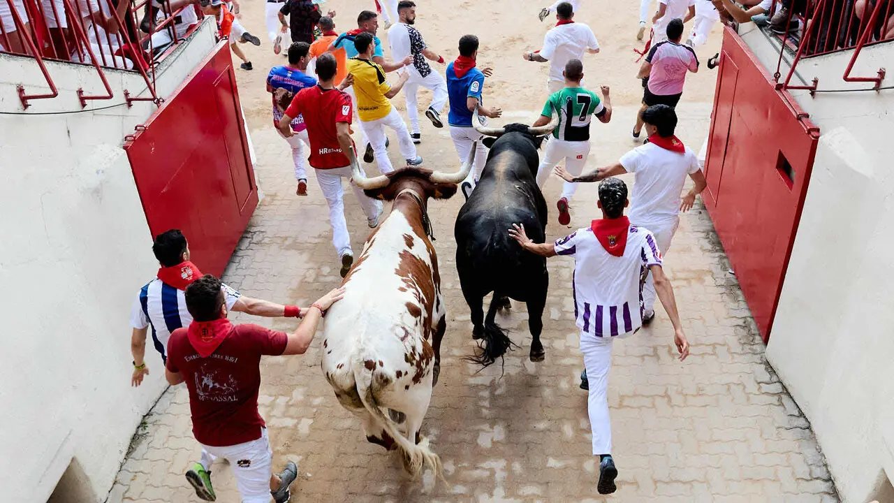 Sexto encierro de San Ferm&iacute;n 2026 con toros de la ganader&iacute;a de La Palmosilla en el tramo del callej&oacute;n y entrada a la plaza. I&Ntilde;IGO ALZUGARAY
