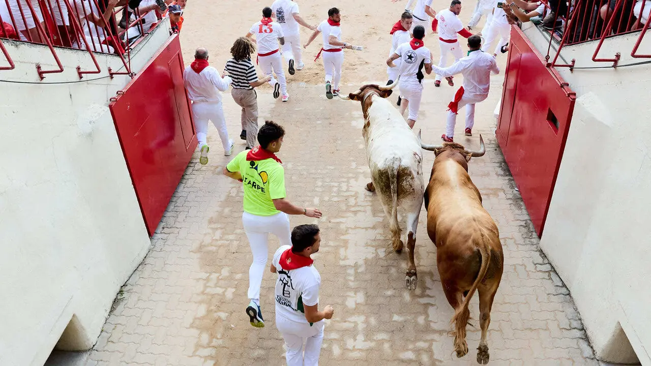 Sexto encierro de San Ferm&iacute;n 2026 con toros de la ganader&iacute;a de La Palmosilla en el tramo del callej&oacute;n y entrada a la plaza. I&Ntilde;IGO ALZUGARAY