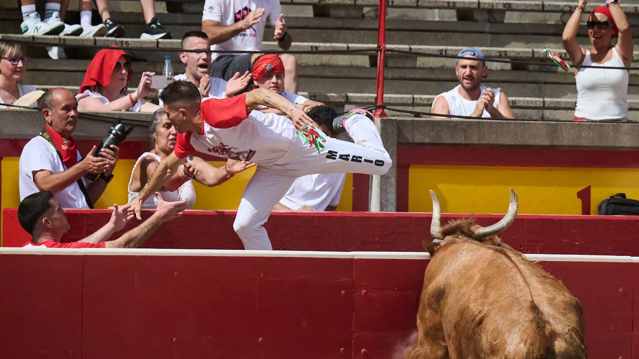 Concurso de anillas enla Plaza de Toros de Pamplona durante San Ferm&iacute;n 2026. PABLO LASAOSA