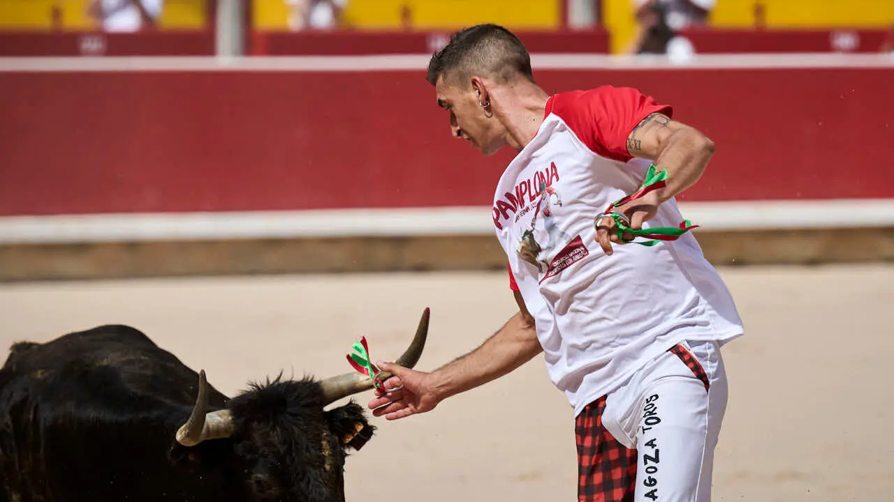 Concurso de anillas enla Plaza de Toros de Pamplona durante San Ferm&iacute;n 2026. PABLO LASAOSA