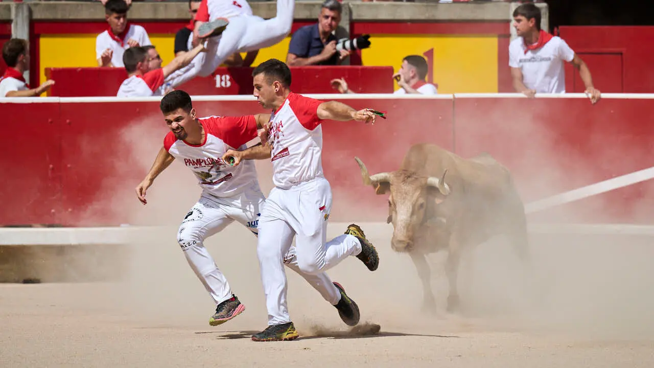 Concurso de anillas enla Plaza de Toros de Pamplona durante San Ferm&iacute;n 2026. PABLO LASAOSA